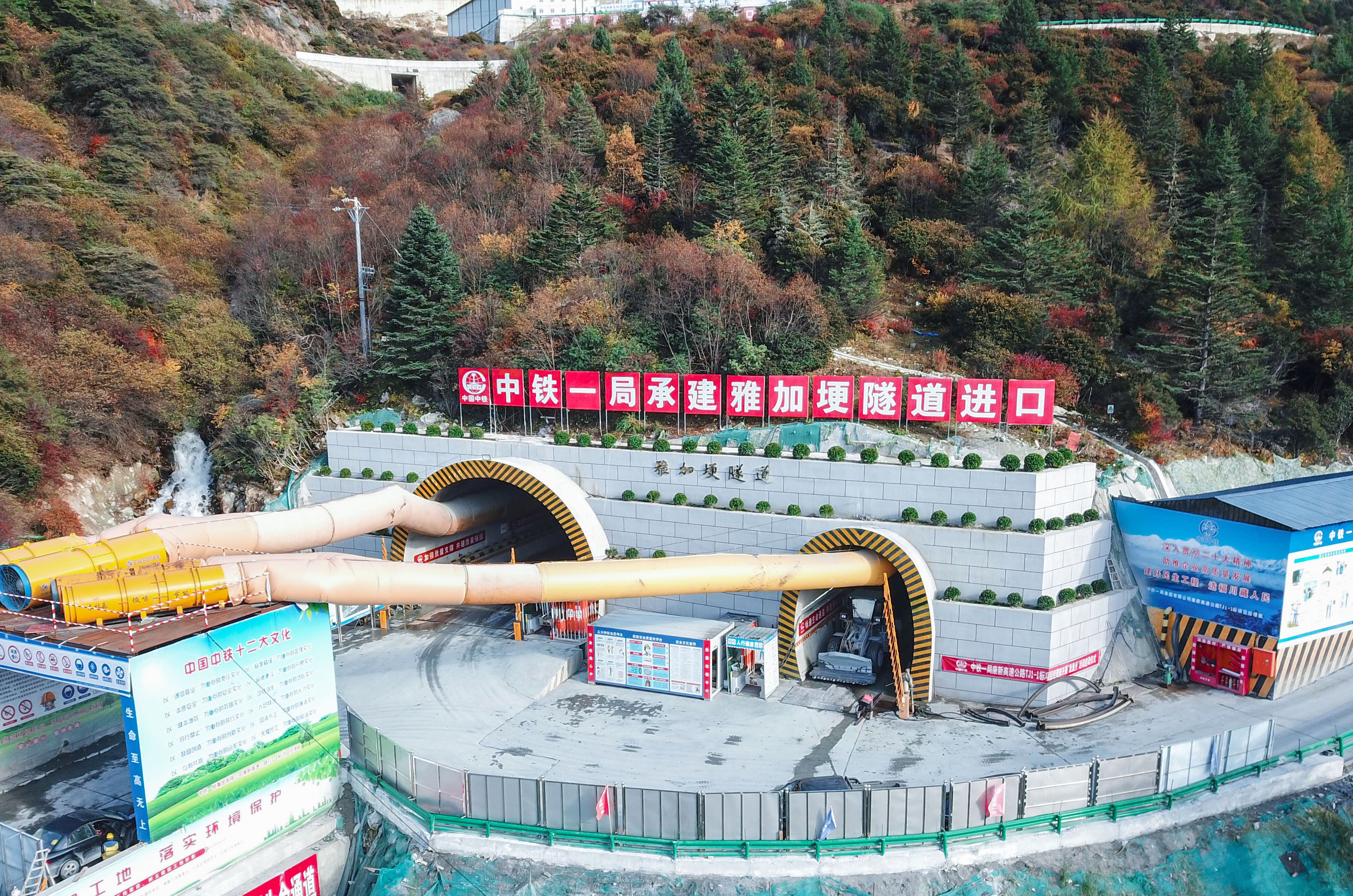 康新